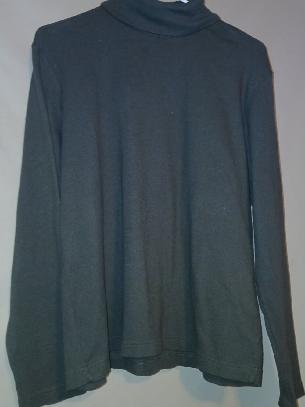 White Stag Forest Night Mock Neck Turtleneck Women's XL Dark Green Long Sleeve